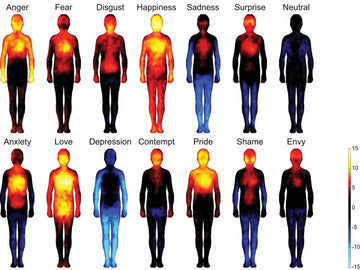 Dead Warmth & Living Warmth (Part 2)