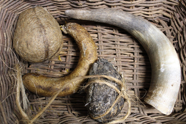 horn, mesentery with string, chamomile sausage, yarrow bladder