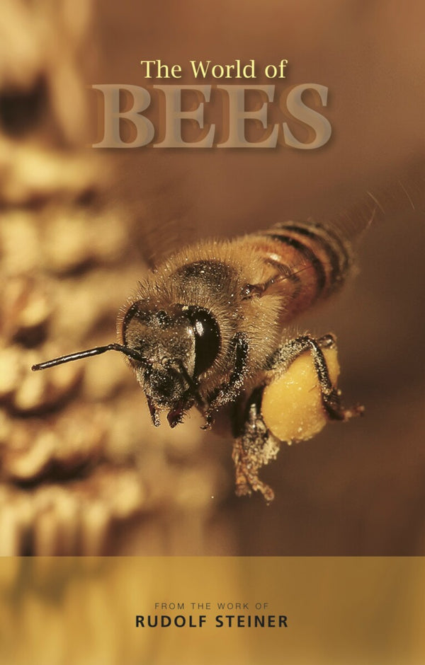 The World of Bees by Rudolf Steiner