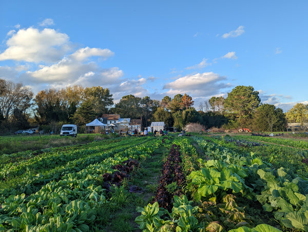 Fall Biodynamic Workshop - October 18-20th 2024 (meals included) - The Josephine Porter Institute