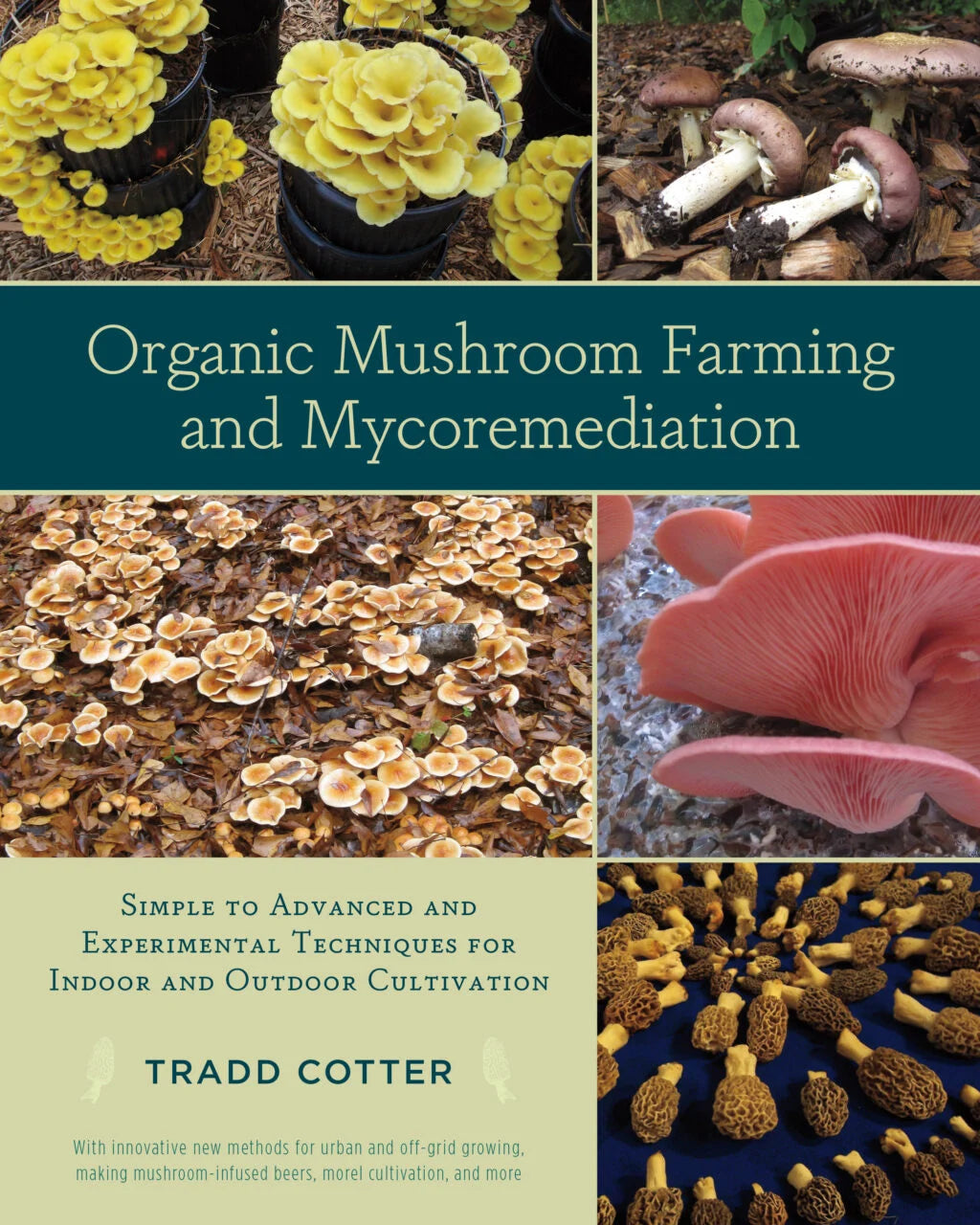 Organic Mushroom Farming and Mycoremediation by Tradd Cotter - The Josephine Porter Institute