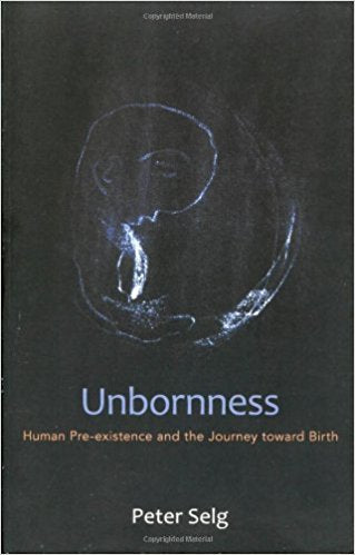 Unborness: Human Pre-Existence and the Journey Toward Birth by Peter Selg - The Josephine Porter Institute