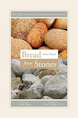 Bread from Stones by Julius Hensel - The Josephine Porter Institute
