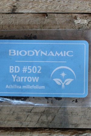 Biodynamic Yarrow Preparation - Achillea millefolium - (BD #502) BD Compost Preparation - The Josephine Porter Institute