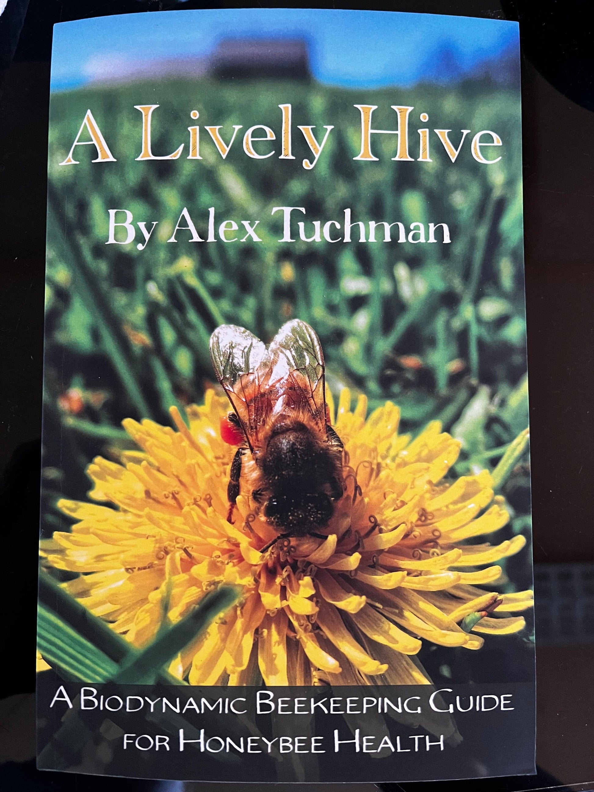 A Lively Hive by Alex Tuchman - The Josephine Porter Institute