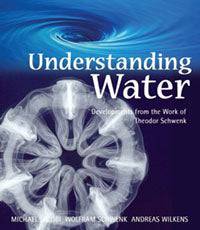 Understanding Water Developments from the Work of Theodor Schwenk  by Michael Jacobi , Wolfram Schwenk and Andreas Wilkens - The Josephine Porter Institute