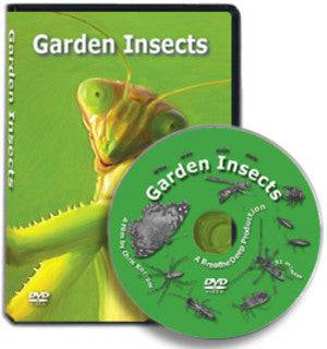 Garden Insects: A film by Chris Korrow - The Josephine Porter Institute