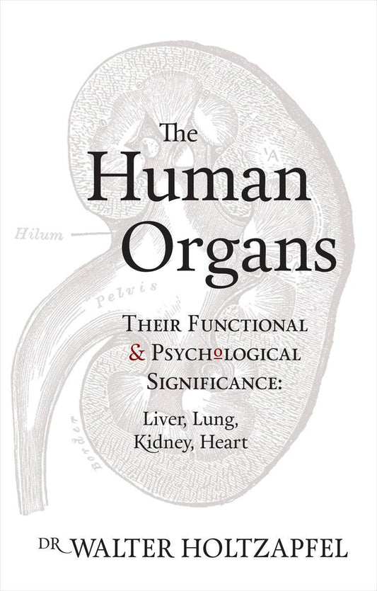The Human Organs: Their Functional & Psychological Significance- Liver, Lung, Kidney, Heart by Dr. Walter Holtzapffel - The Josephine Porter Institute