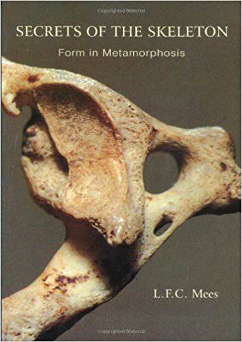Secrets of the Skeleton: Form in Metamorphosis by L. F. C. Mees - The Josephine Porter Institute