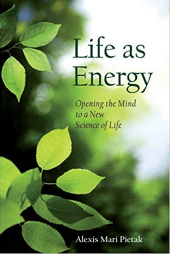 Life as Energy by Alexis Mari Pietak - The Josephine Porter Institute