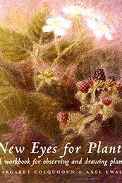 New Eyes for Plants: A Workbook for Observing and Drawing Plants by Margaret Colquhoun Illustrated by Axel Ewald - The Josephine Porter Institute