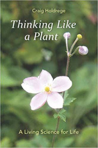Thinking Like a Plant: A Living Science for Life by Craig Holdrege - The Josephine Porter Institute