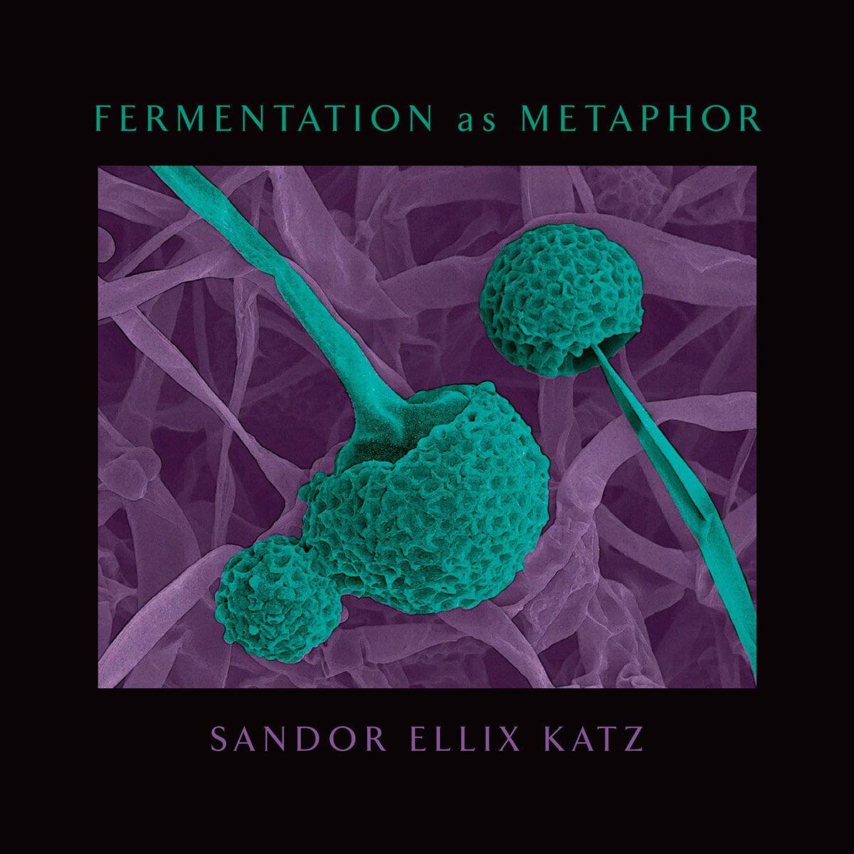 Fermentation as Metaphor by Sandor Ellix Katz - The Josephine Porter Institute