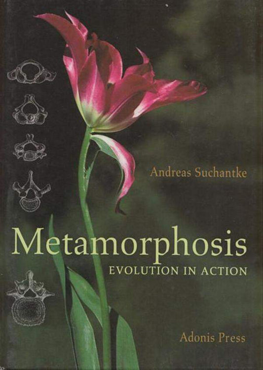 Metamorphosis: Evolution in Action by Andreas Suchantke - The Josephine Porter Institute
